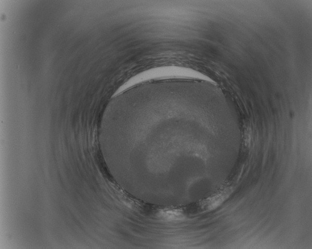 X0000066930283200603311400