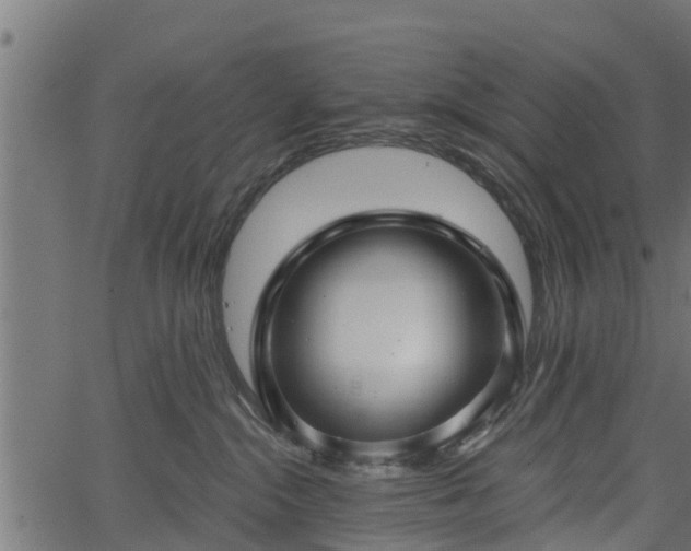 X0000066930284200603311400