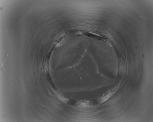 X0000066930285200603311400