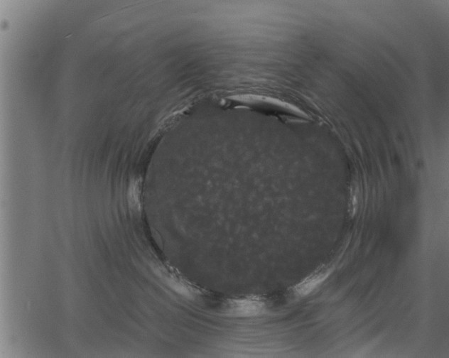 X0000066930286200603311400