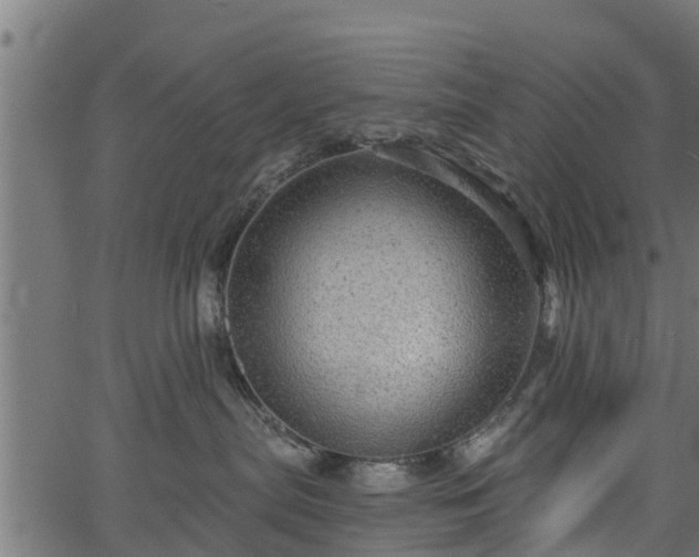 X0000066930287200603311400