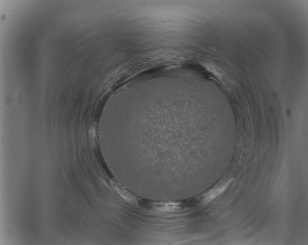 X0000066930288200603311400