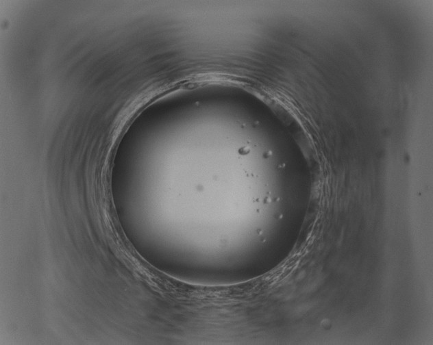 X0000066930289200603311359