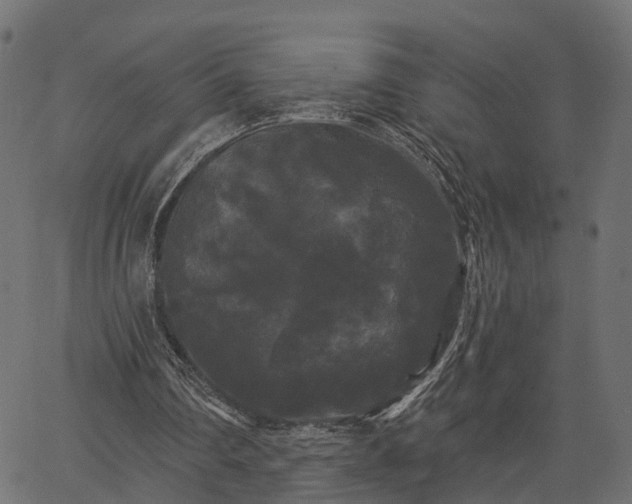 X0000066930290200603311359