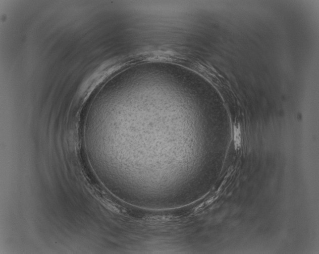 X0000066930291200603311359