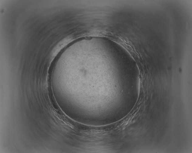 X0000066930292200603311359