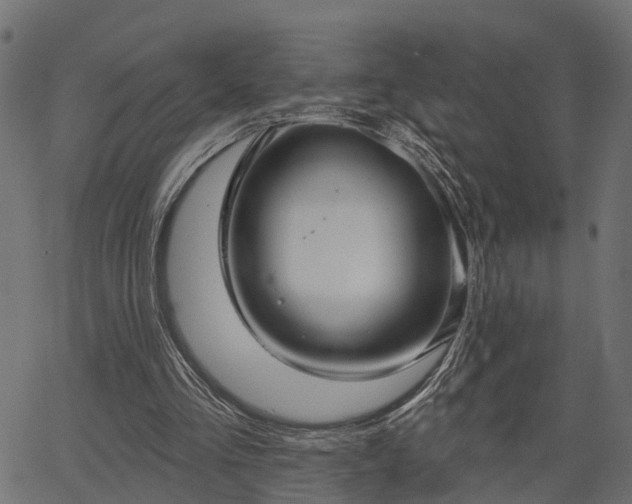 X0000066930293200603311359