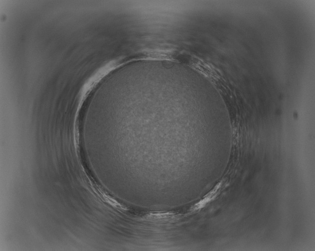 X0000066930294200603311359