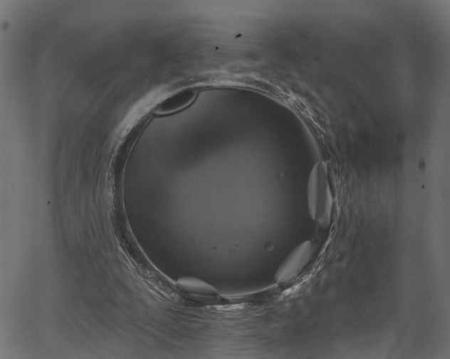 X0000066930295200603311359