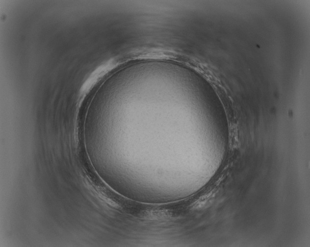 X0000066930296200603311359