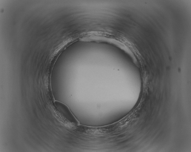 X0000066930297200603311359