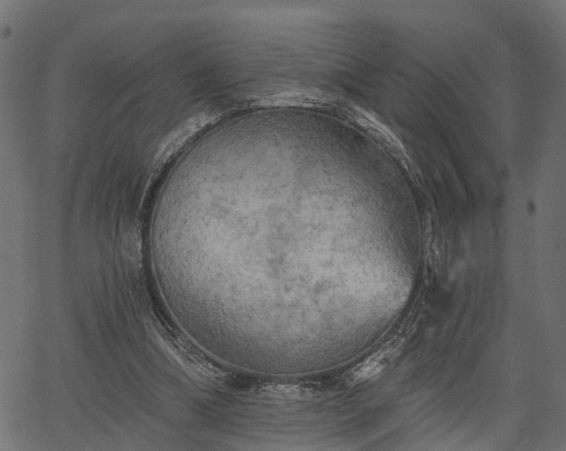 X0000066930298200603311359