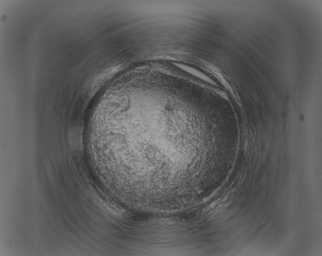 X0000066930299200603311359