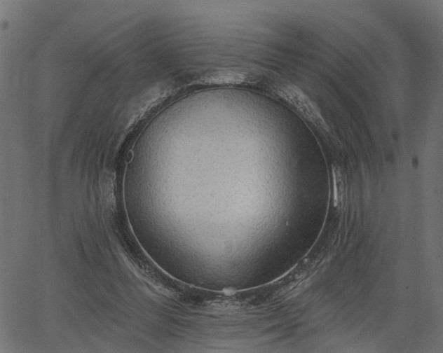 X0000066930300200603311359