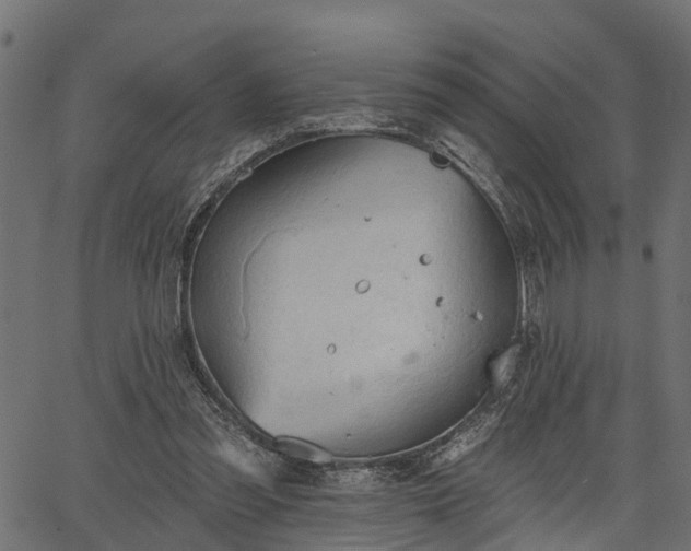 X0000066930301200603311359