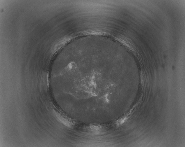 X0000066930302200603311359