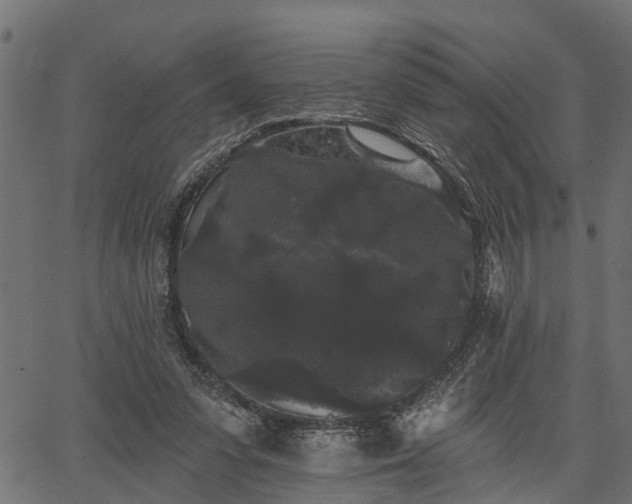 X0000066930303200603311359