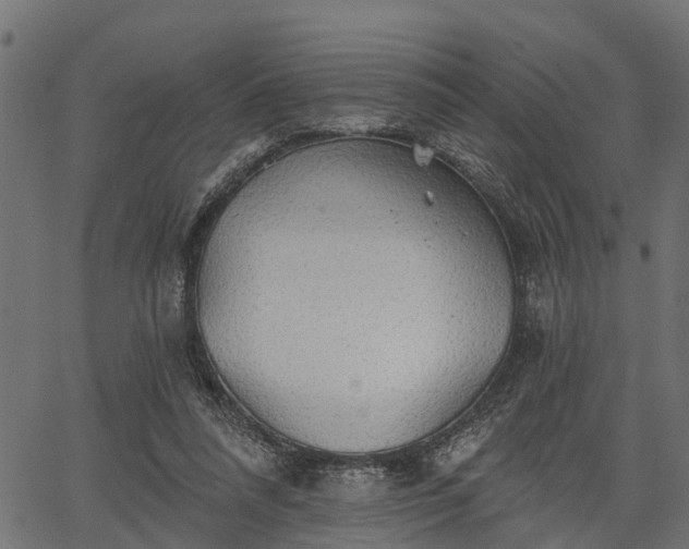 X0000066930304200603311359