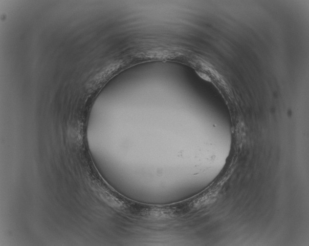 X0000066930305200603311359