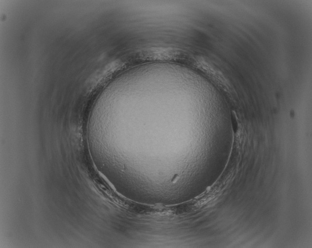 X0000066930306200603311359