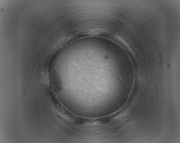 X0000066930307200603311359