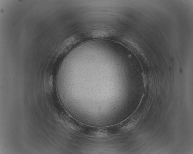 X0000066930308200603311359