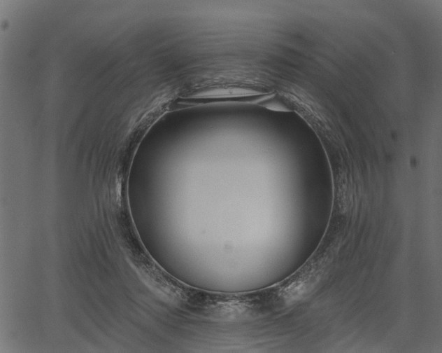 X0000066930310200603311358