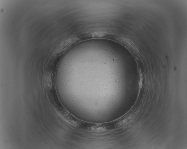 X0000066930311200603311358