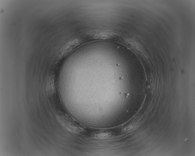 X0000066930312200603311358