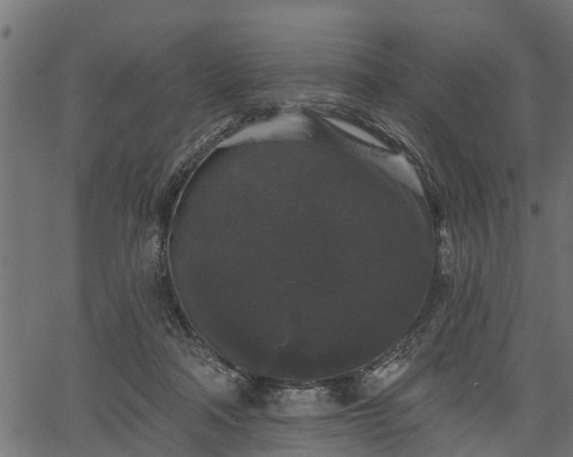 X0000066930314200603311358