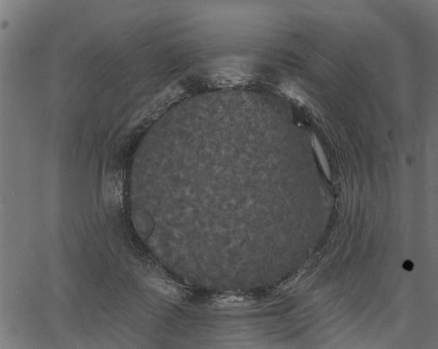 X0000066930315200603311358