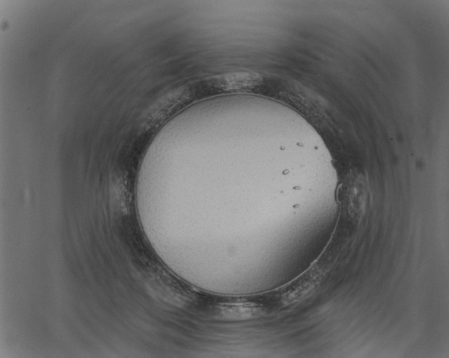 X0000066930316200603311358