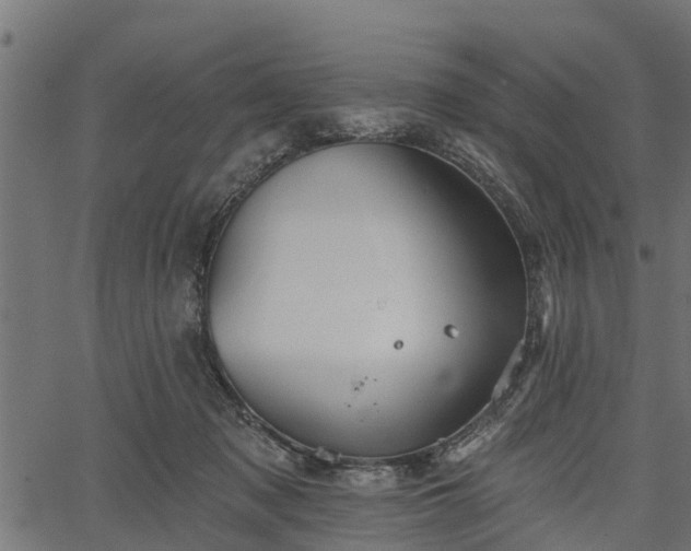 X0000066930317200603311358