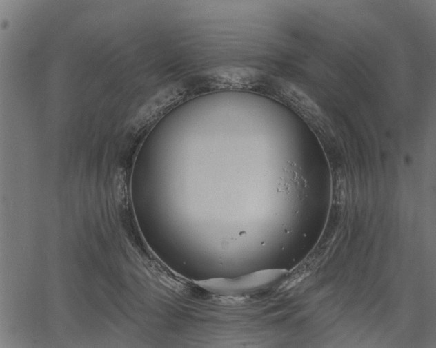 X0000066930318200603311358