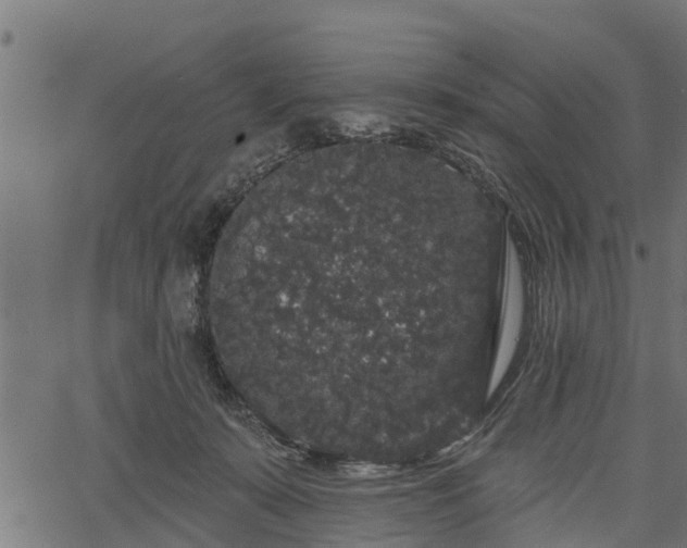 X0000066930319200603311358