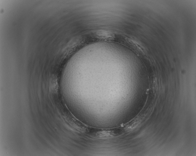 X0000066930320200603311358