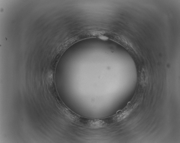 X0000066930321200603311358