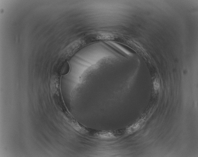 X0000066930322200603311358