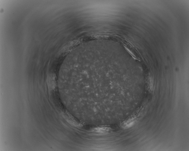 X0000066930323200603311358