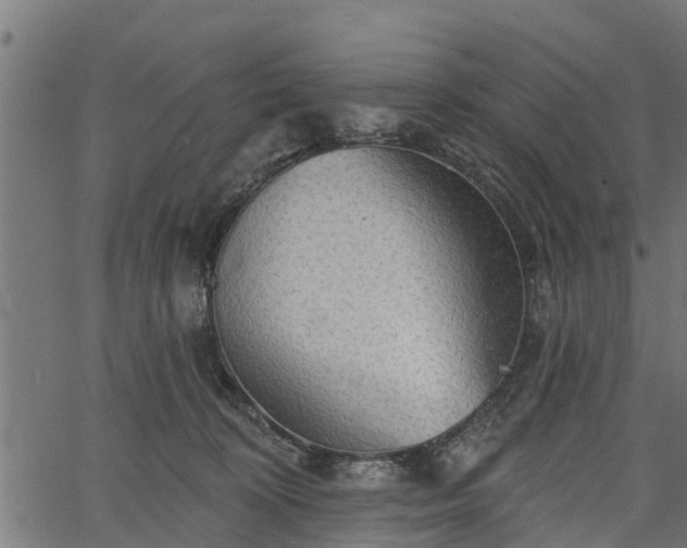 X0000066930324200603311358