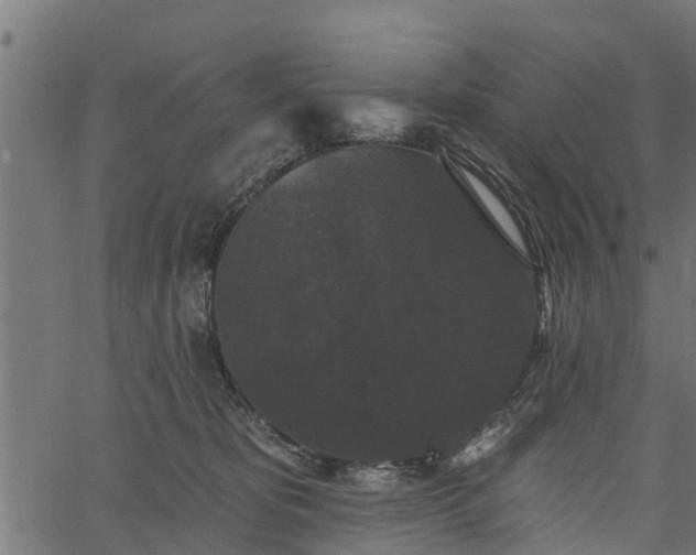 X0000066930325200603311358