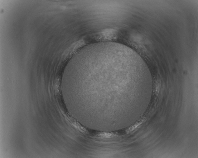 X0000066930326200603311358