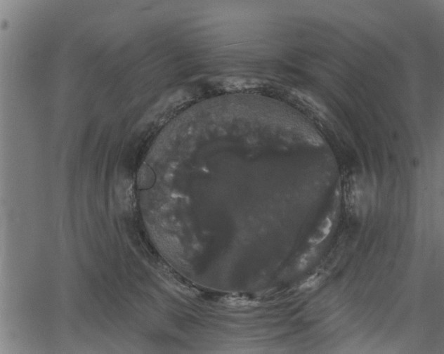 X0000066930327200603311358