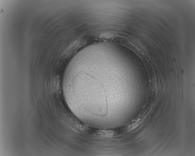 X0000066930328200603311358