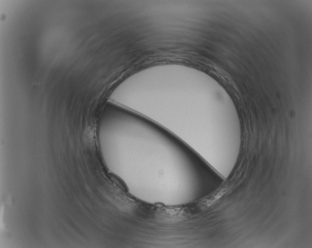 X0000066930329200603311358