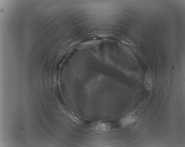 X0000066930330200603311358