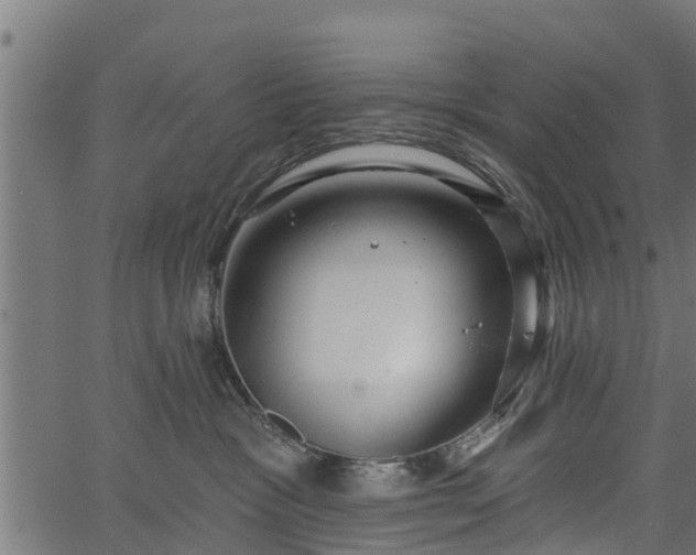 X0000066930333200603311358