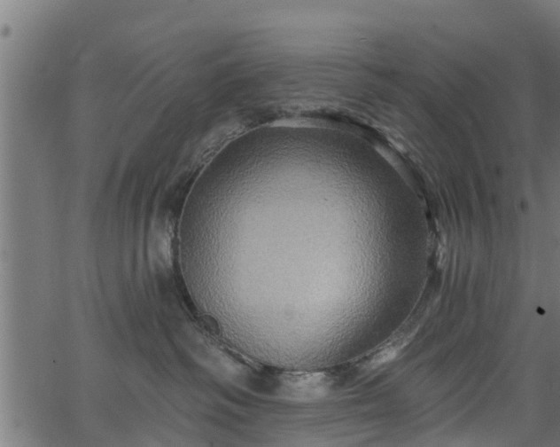 X0000066930334200603311358