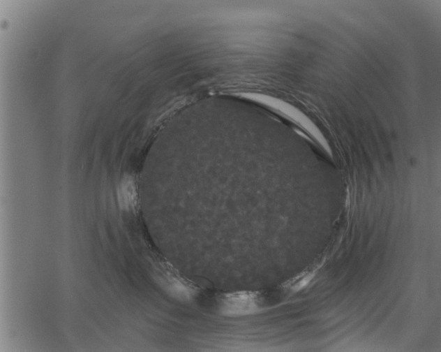 X0000066930335200603311358