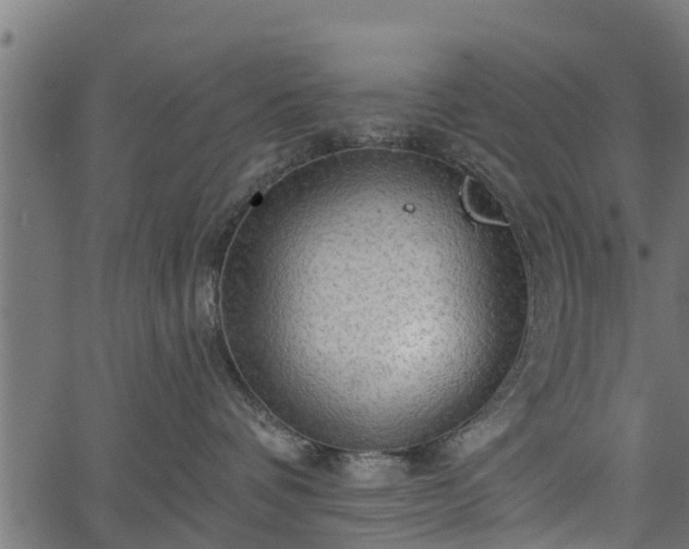 X0000066930336200603311358